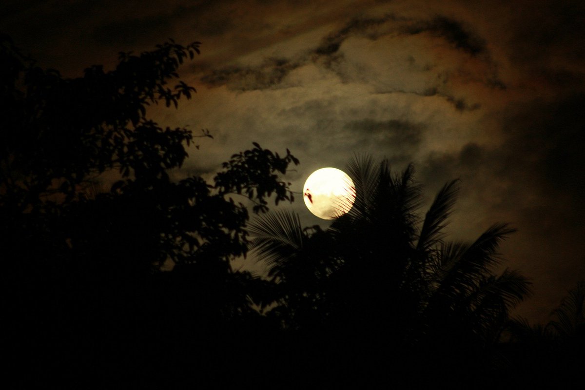 Astroph21's tweet photo. The Full Wolf Moon of 2022!🌕🐺

#Astrophotography #FullMoon2022 #FullMoon #WolfMoon #Selenophile #AstroPH #astronomy https://t.co/PXSGZt9Dhs