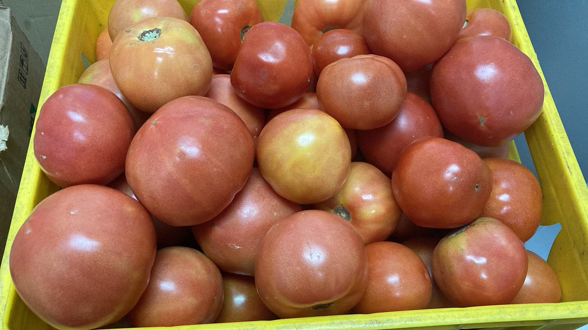 #straighttoyourhome #freshfromthefarm #sayyestofresh #eatlocal #smallfarmers #locallygrown #salad #tomatoes