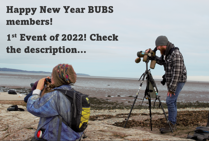 bu_bsoc's tweet photo. Wednesday 19th Jan at the watch-point beside the pier at 10:30 -13:30, we will move onto the pier (bring a 50p for entry), and go to the harbour for a count of the wader roost. Remember to wrap up warm and bring some food and drink with you! See you then! https://t.co/HK1tZPCgYu
