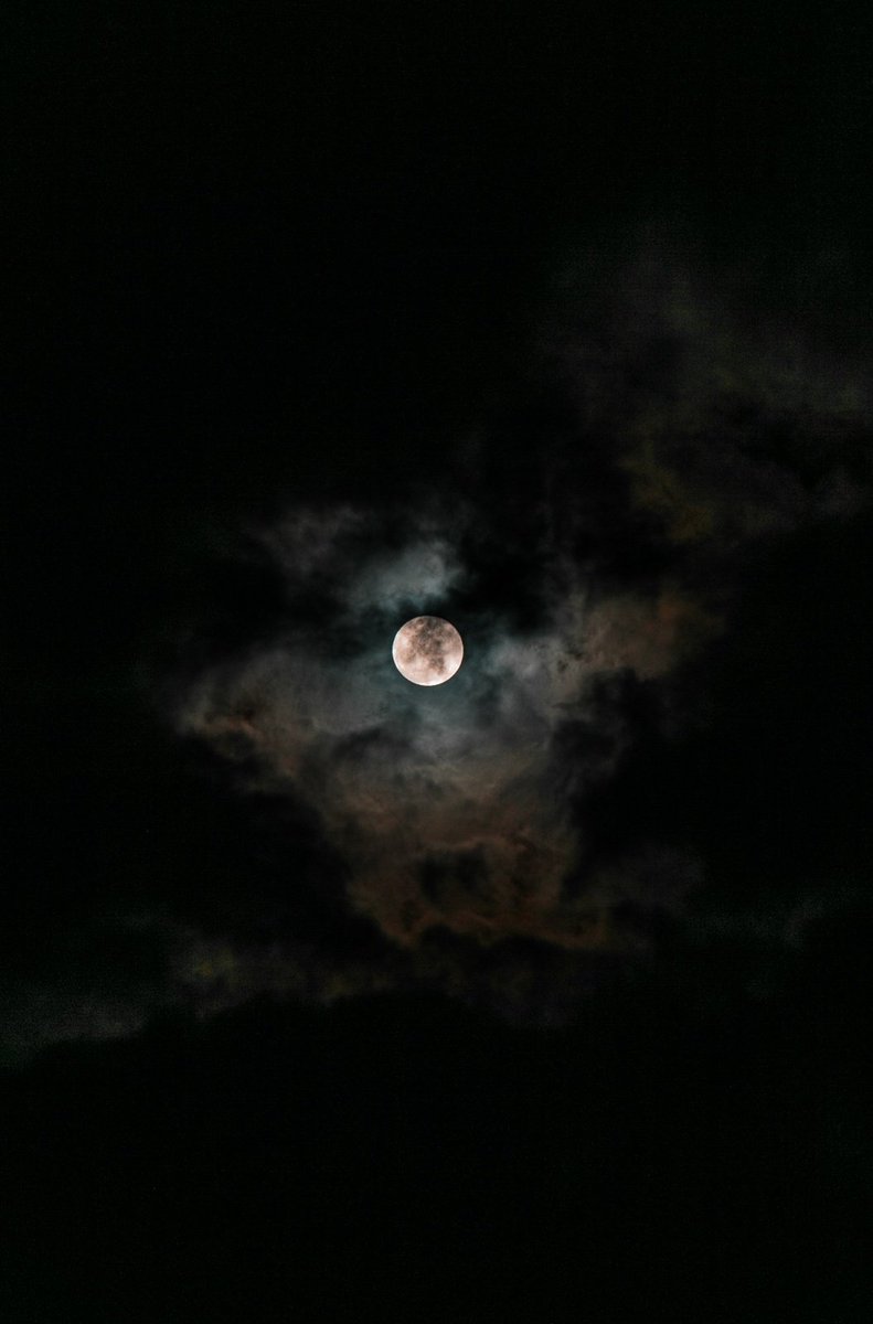 Cicada_Capital's tweet photo. "The dark is generous, and it is patient, and it always wins.
It always wins because it is everywhere. It is in the wood that burns in your hearth, and in the kettle on the fire; https://t.co/mjy8z7Rx13