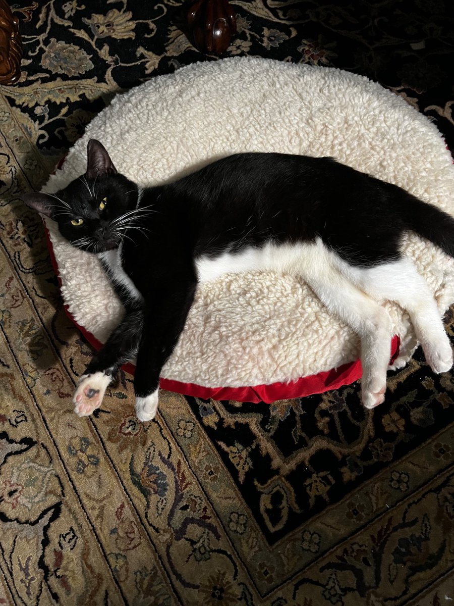 James DePorre tweet media