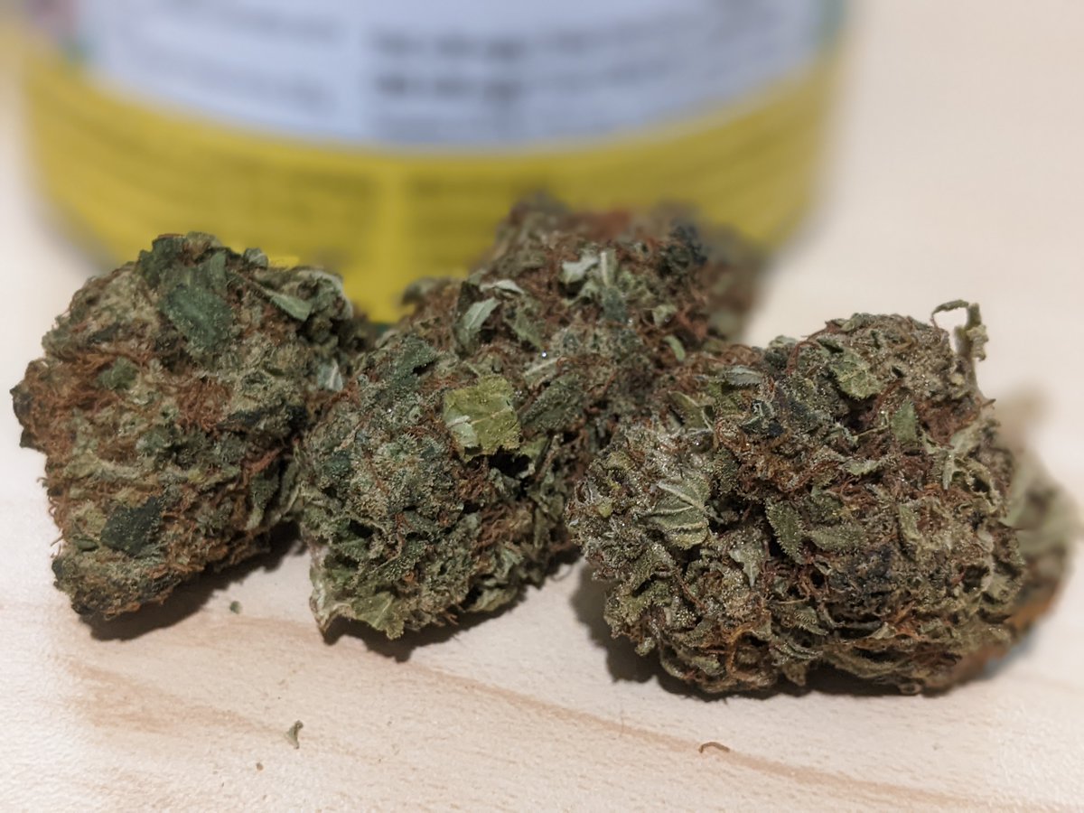 PuffTheMagic42's tweet photo. LA Confidential ~ A strain with an Afghani Indica landrace genetic for a clear euphoric mindful expansion. https://t.co/AK4uTuHqlW