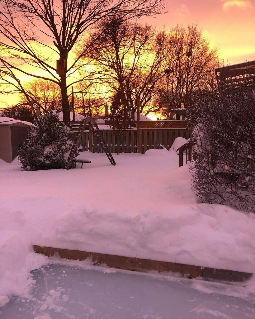 TeacherHann's tweet photo. If you’re not outside, you should peek out a window! There’s an amazing light/colour display happening. #DontLookUp #ActuallyDo #snowday 😎 Calm After The Storm https://t.co/HNsZVSuqxo https://t.co/SeTUiRhId3