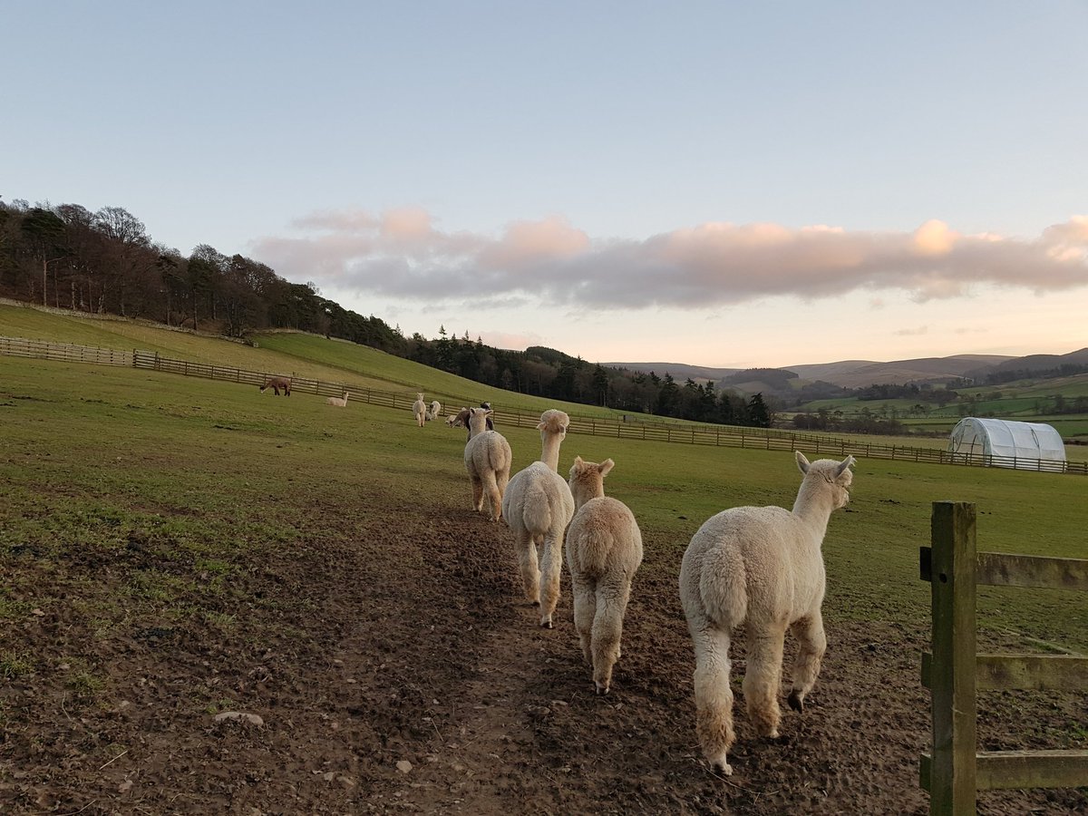CosaigInners's tweet photo. Who'd want to #GoTweedValley in January 🙄 https://t.co/HQQs5m8rJc