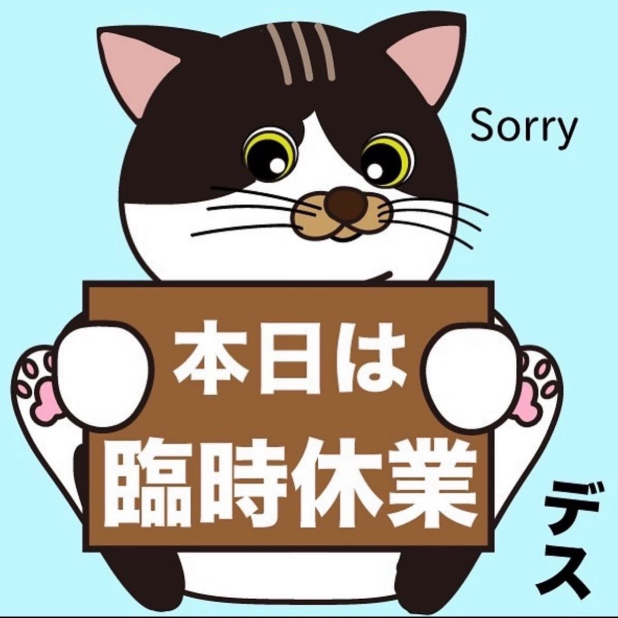 保護猫カフェ 猫婆 Anrinsada Twitter