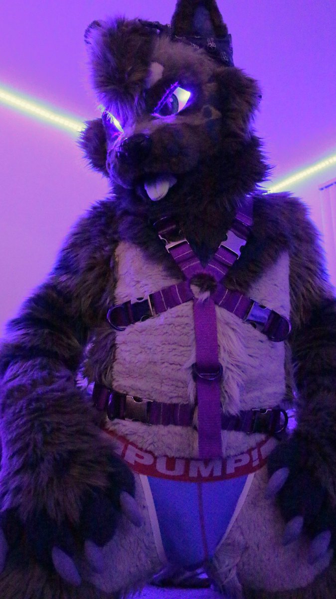 Whatcha looking at down there?~

#MurrsuitMonday 

📸<a href="/CrypticDrgnAD/">Service Dragon @ FWA</a>