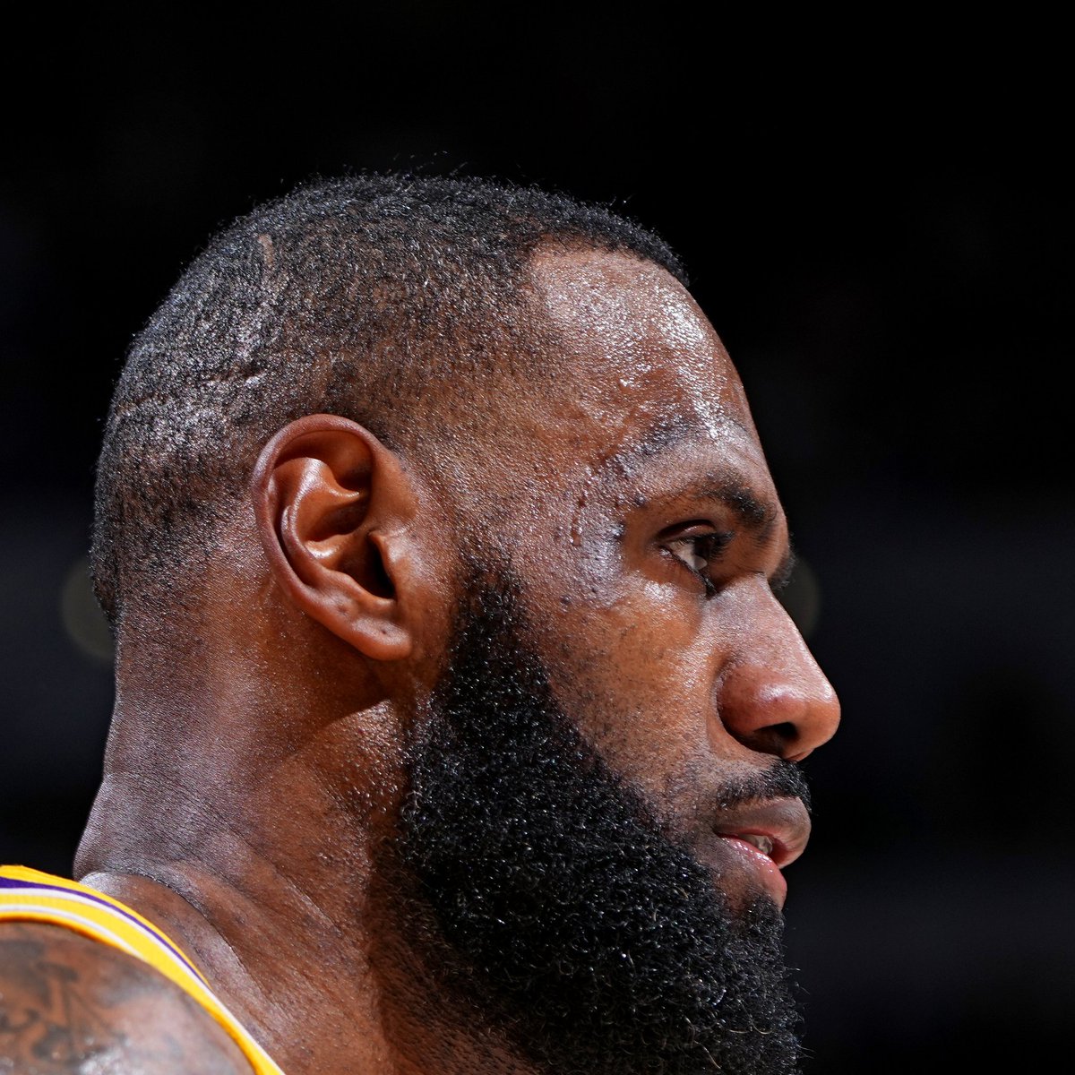 Porque rompe marcas y supera récords partido a partido, porque a los 37 años continúa en su prime y sigue siendo indiscutiblemente el mejor del planeta. Dale, mirá si no vas a retuitear y darle tu voto justo hoy que valen doble.

1 RT 🔃 = DOS VOTOS 🗳️
#LeBronJames #NBAAIIStar