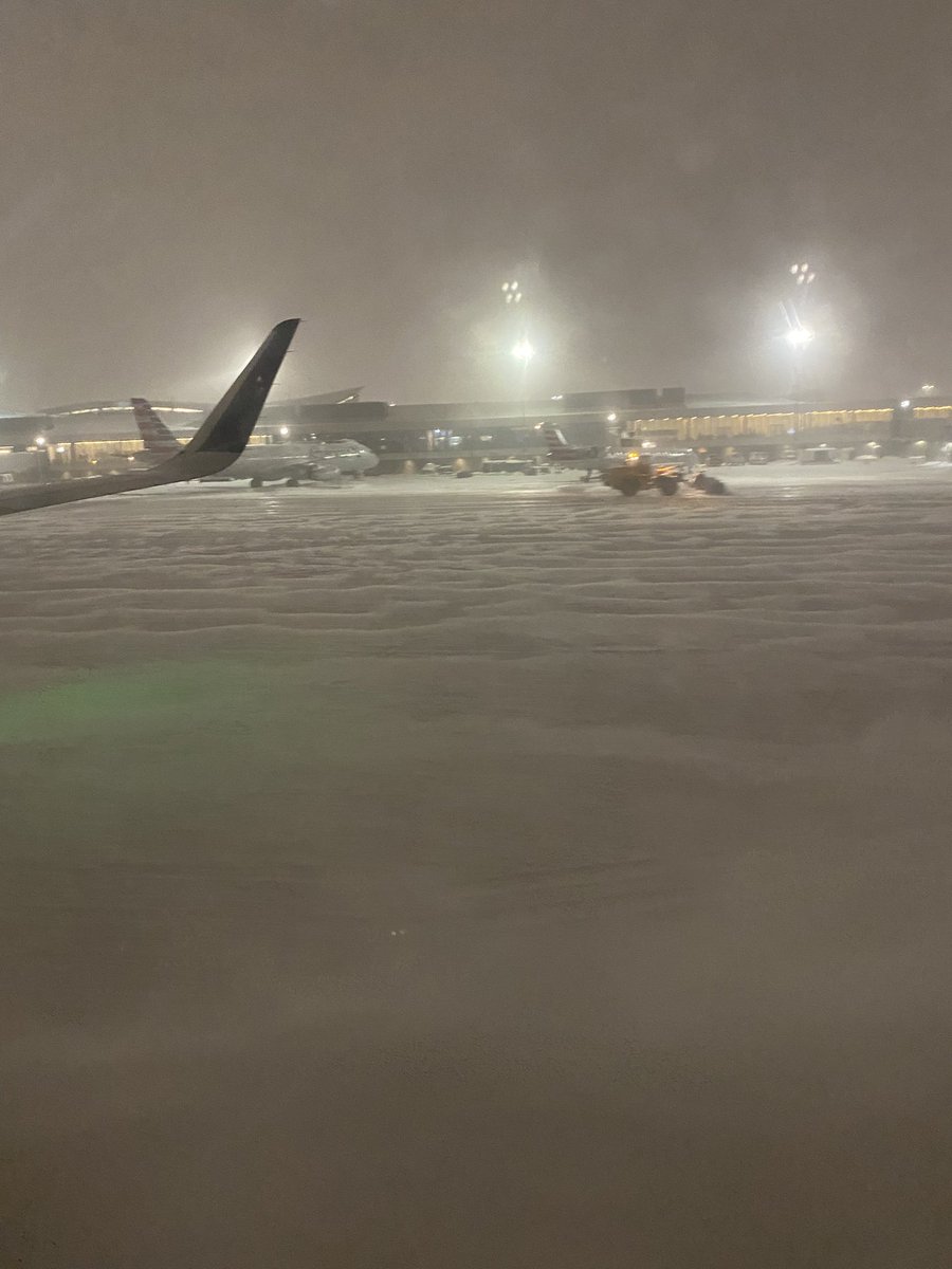 Sarah Niederee tweet media