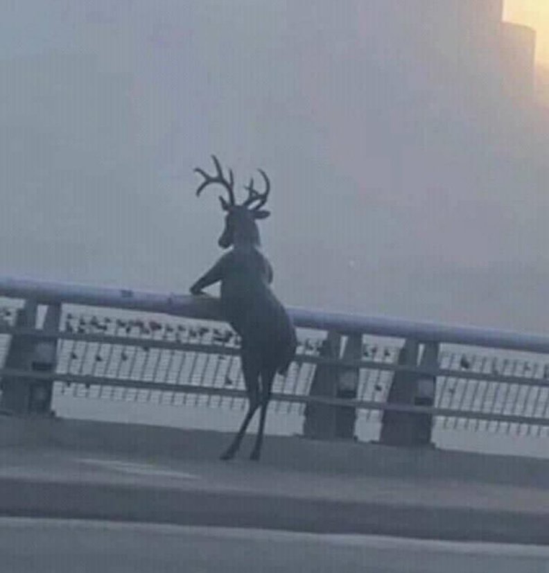 Scott Bayer #THEBOOKCHAT co-founder tweet media