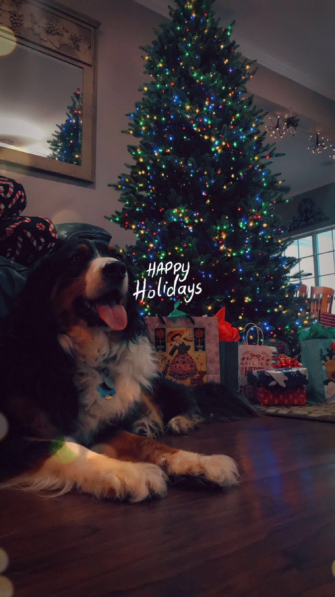 Lisa Bowers tweet media