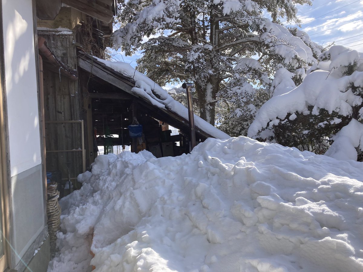 結局こうなったので、次の冬までには屋根を延長させたいと思います。しかもかなり頑丈なやつを！