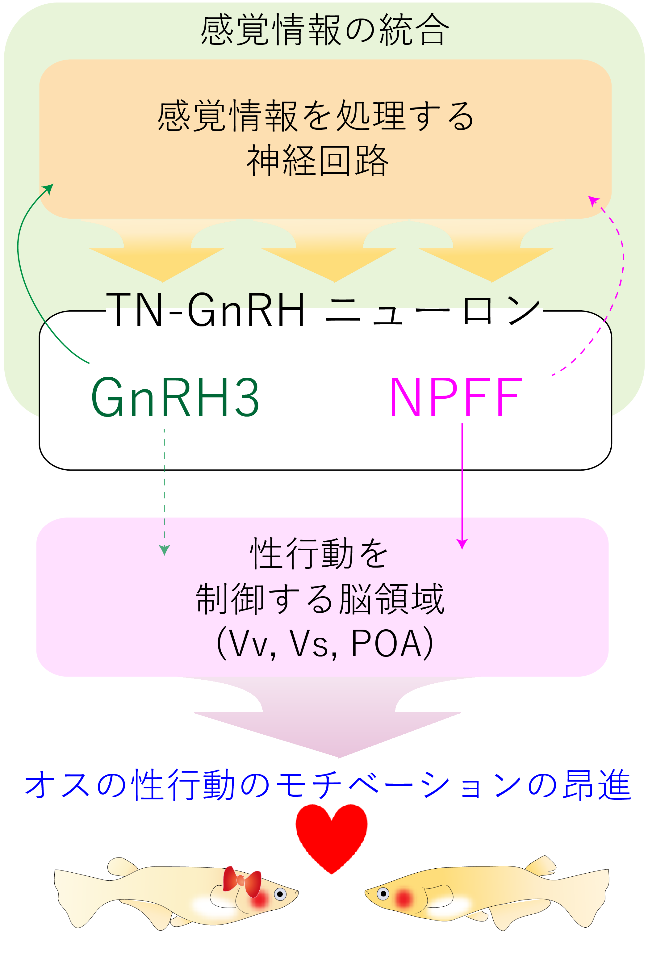【授業料免除】東京大学生物科学専攻過去問6 年分　私の解答集（H25-H30） 東大院 理学系研究科 物理学専攻 院試解答17年分（H20〜R7
