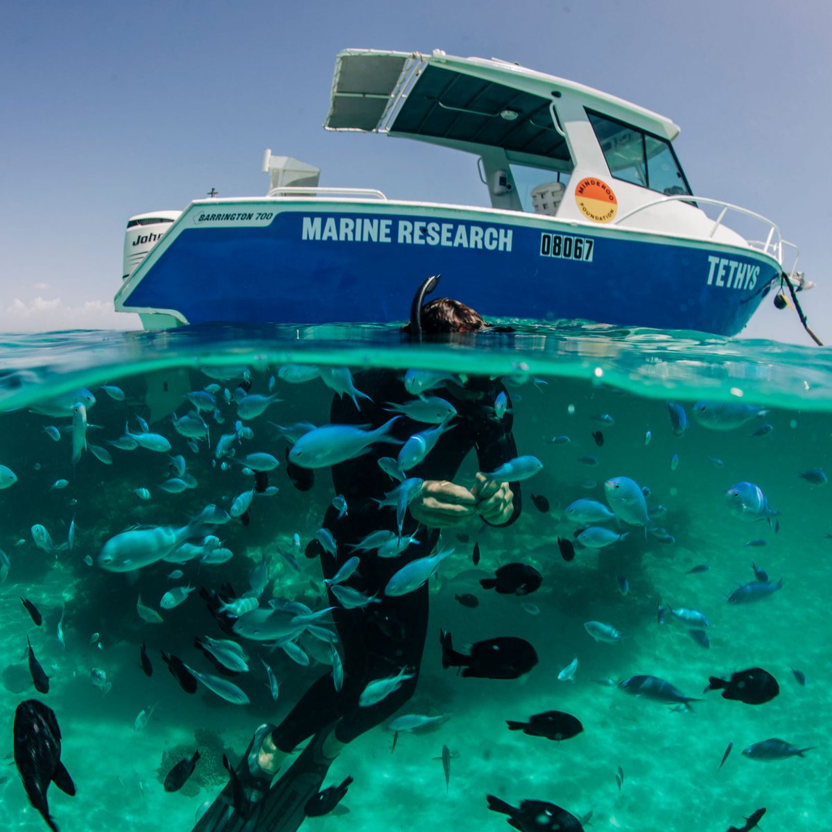 aleta_johnston1's tweet photo. We're hiring! - If you are an energetic, passionate, world-class marine scientist looking for a unique opportunity to live and work in the Ningaloo Reef World Heritage Area, then we have a deal for you!
Please share #marinesciencewa
https://t.co/cJ6SBAErfL https://t.co/TJAQ4b4Rpx
