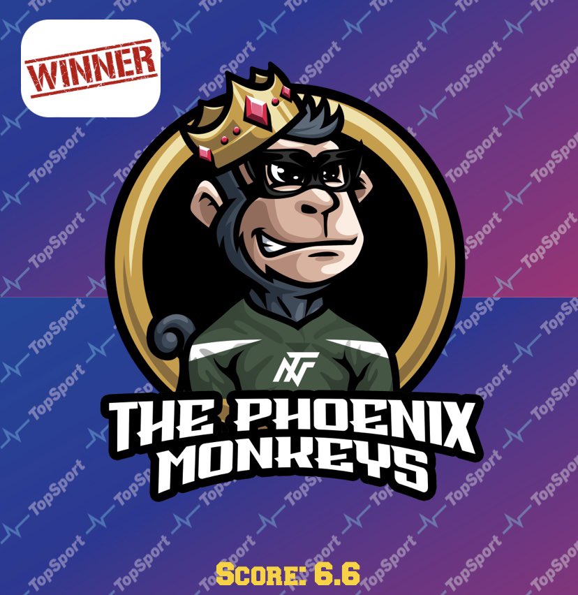 Shintage's tweet photo. A couple of winners through to round 2 from the Shine Stable in @NFTeams_ AO comp. Phoenix Monkeys continuing on after some podium finishes in @BeardBearsNFT tournament already! #formteam https://t.co/hnGEUg0iqS