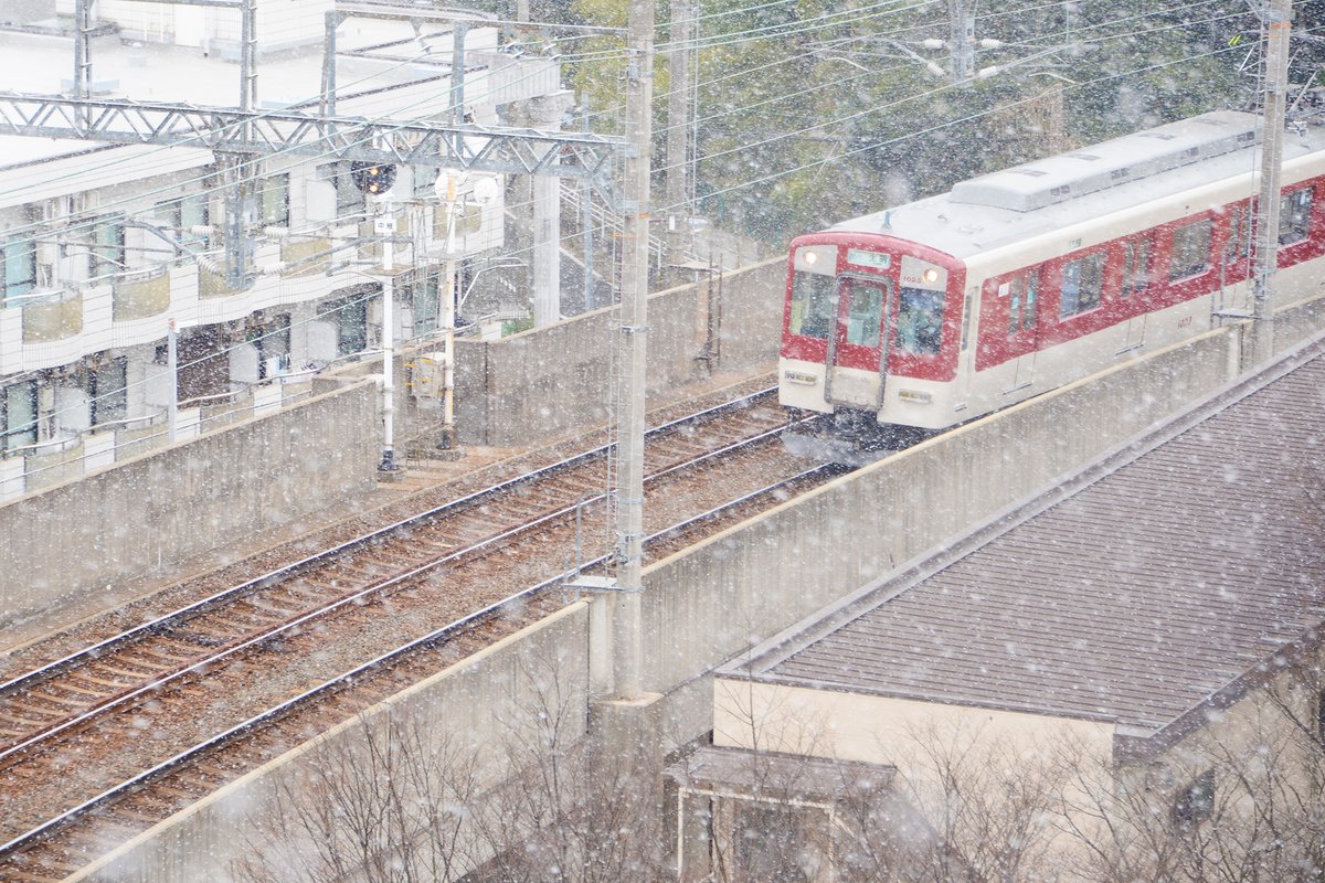 す、すごい雪だっタケ…。 まるで生駒市が雪国のようだっタケ。まだ寒い日が続くようなので、体調管理やスリップなどには気をつけてタケ！！