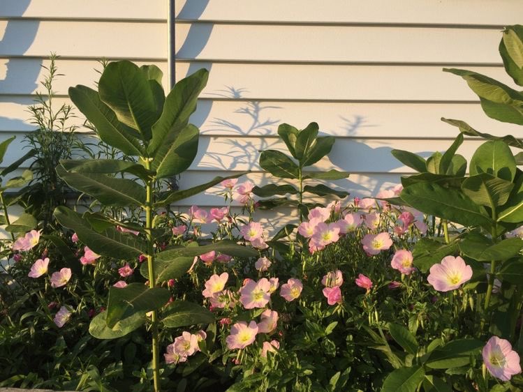 luistrying's tweet image. ♡ ──── ❝ 𝐚𝐛𝐨𝐮𝐭 𝐦𝐞 ❞ ──── ♡