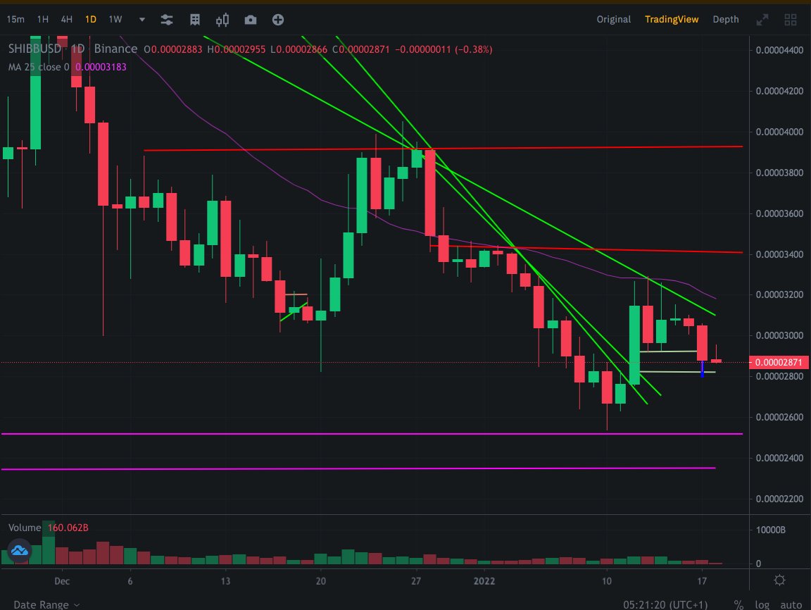 SHIB_Germany tweet media