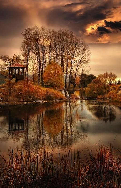 ____

Estar preparado es importante, saber esperar lo es aún más, pero aprovechar el momento adecuado es la clave de la vida.

Arthur Schnitzler.