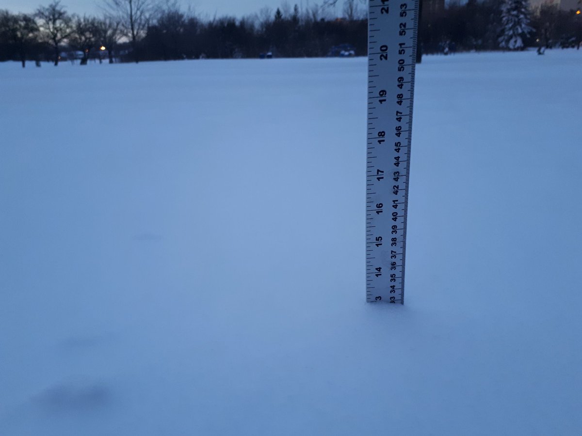 Simon Lam Eng tweet media