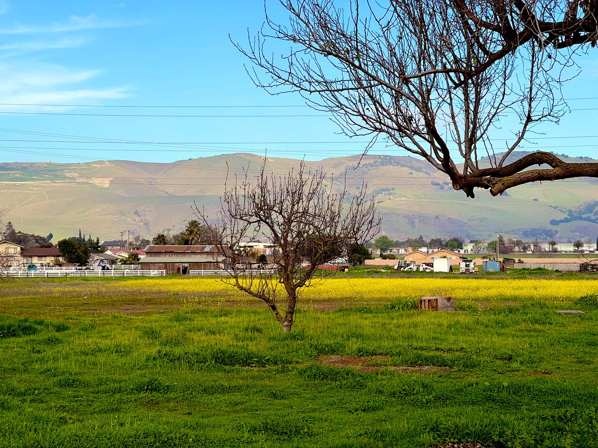 vcPriya's tweet photo. Weekend views #farmlife https://t.co/6fPyqpVr7h