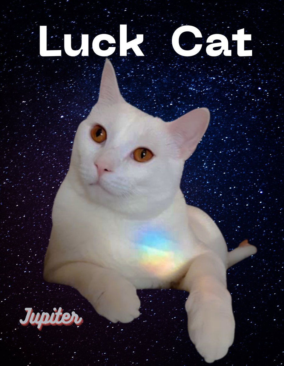 CharWilcox2's tweet photo. RT for Luck Cat😻😻😻
Tag friends for Luck ❤️💯❤️
Get your #LuckCat Jupiter Stickers here 👇👇
https://t.co/xTho9t3KNM https://t.co/MfRbfwTIfy