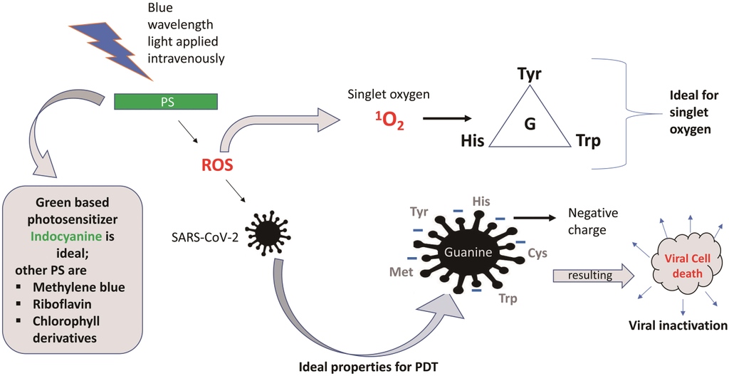 xiahepublishing's tweet photo. Vaccines may not be the only treatment for #COVID19. A new study from @PU_OfficialPK finds that photodynamic therapy may be a valuable therapy for the virus. Learn more about the viability of this treatment โก๏ธ https://t.co/MGVZQ3OySt
#antiviral #therapy #JERP #XHPublishing https://t.co/MUPOCUtWxw