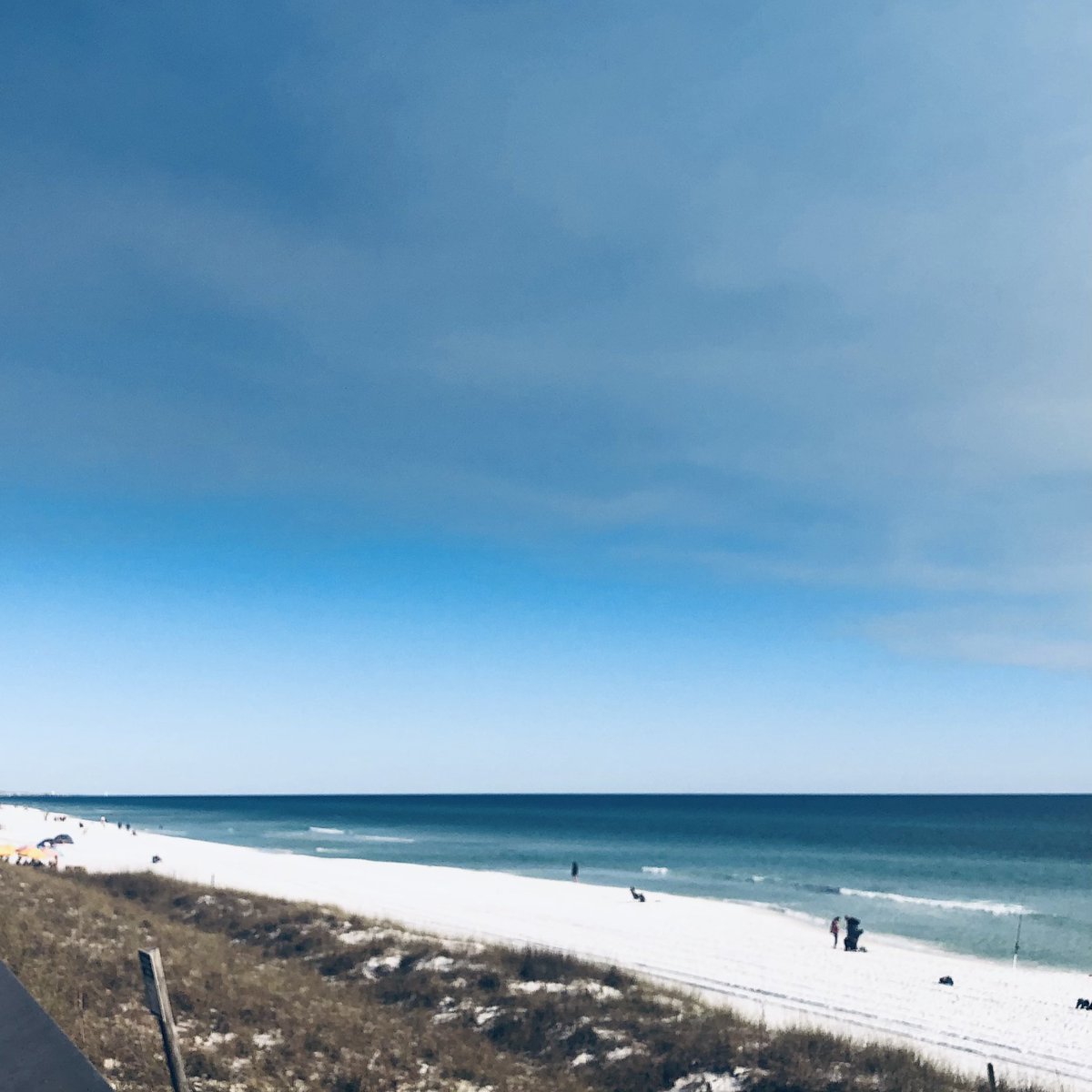 Brigit Jackson tweet media