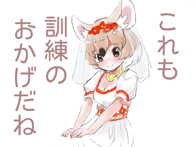 こんなふうに見えた隊長さんもいたとか 