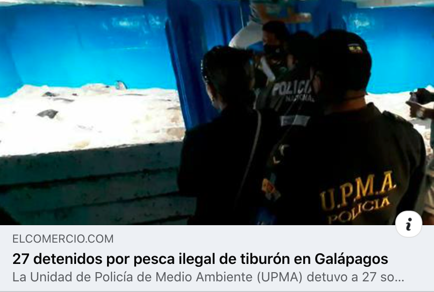 WCSEcuador's tweet photo. #Infórmate 🐾 | La Unidad Nacional de Policía de Protección del Medioambiente #UNPAMB en coordinación con la @armada_ecuador detuvo el pasado jueves a 27 sospechosos de pesca ilegal de tiburón en #Galápagos. 👏 🧐 🦈
¡Conoce más! 😉 ➡️ https://t.co/HGNkBJUEQc
🖐💚💙 https://t.co/Aiz3hgZGrL