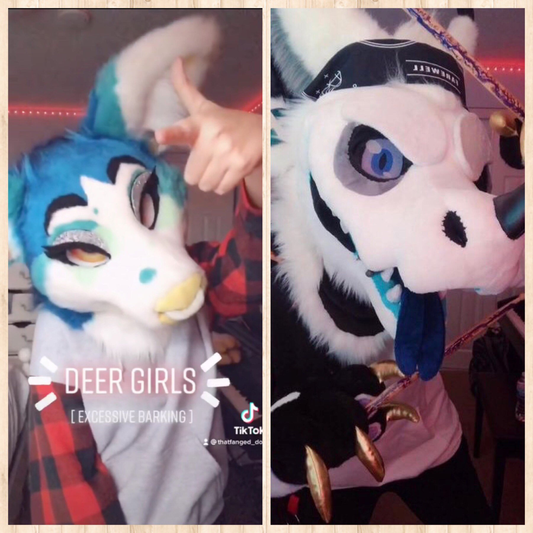 Bambi Doe Tiktok: Funny & Cute - 9lyr0s4