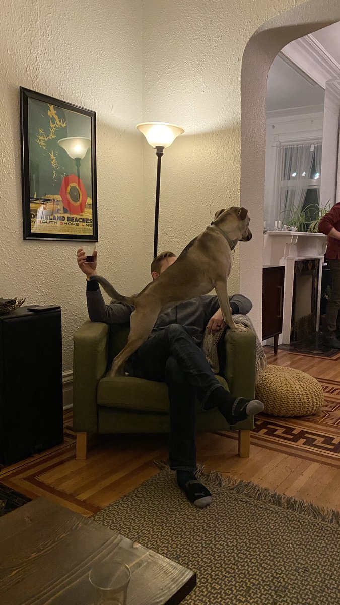 peterhcavanaugh's tweet photo. @JohnAmdor I guess cricket doesn’t find me as comfy. https://t.co/vK0gcZZUK9