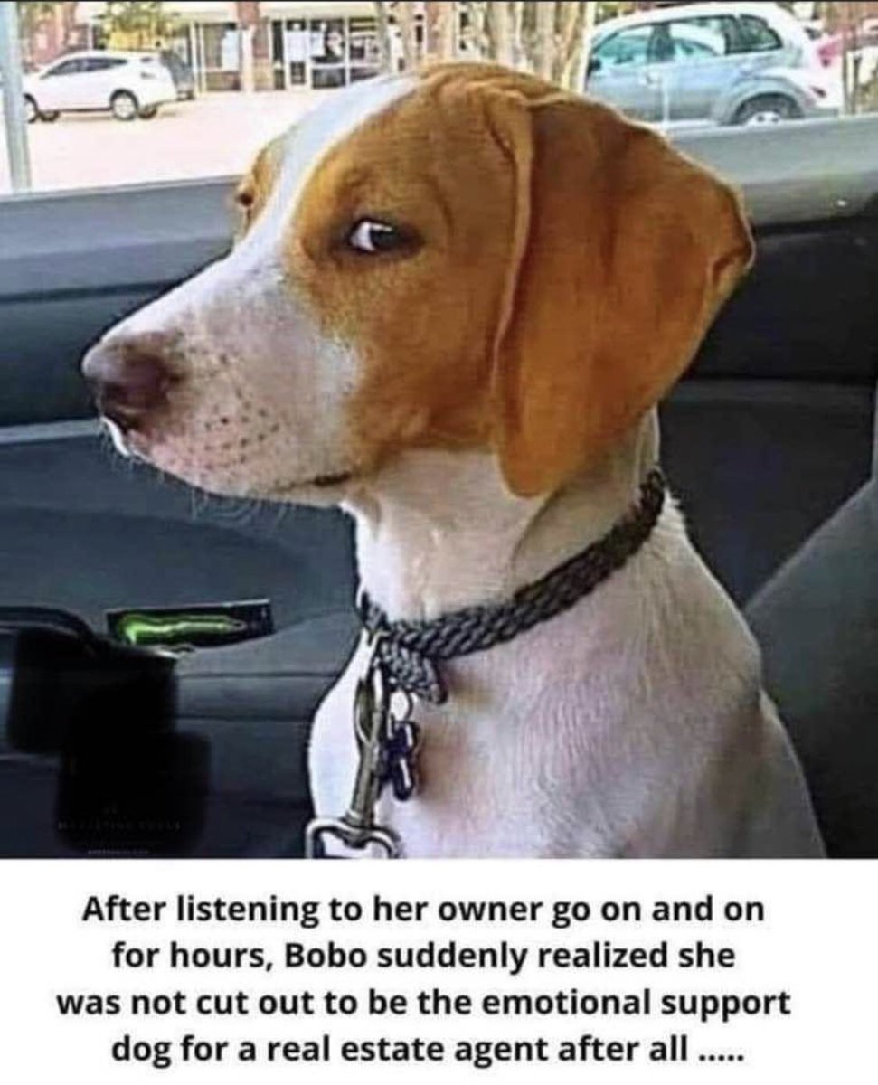 Bob Wolk (@bobwolk) on Twitter photo 