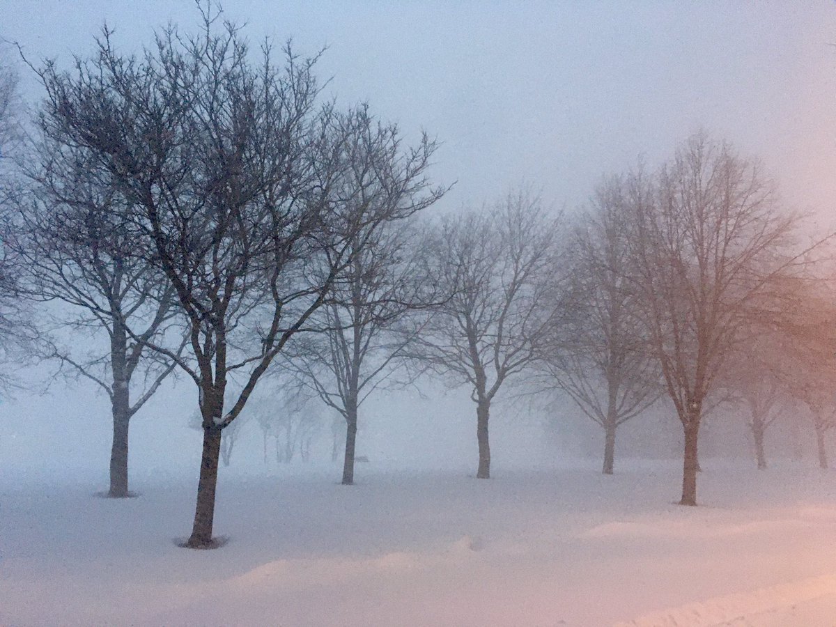 Good morning, #Toronto
January 17, 2022 #GTA #ONSnow #ONStorm