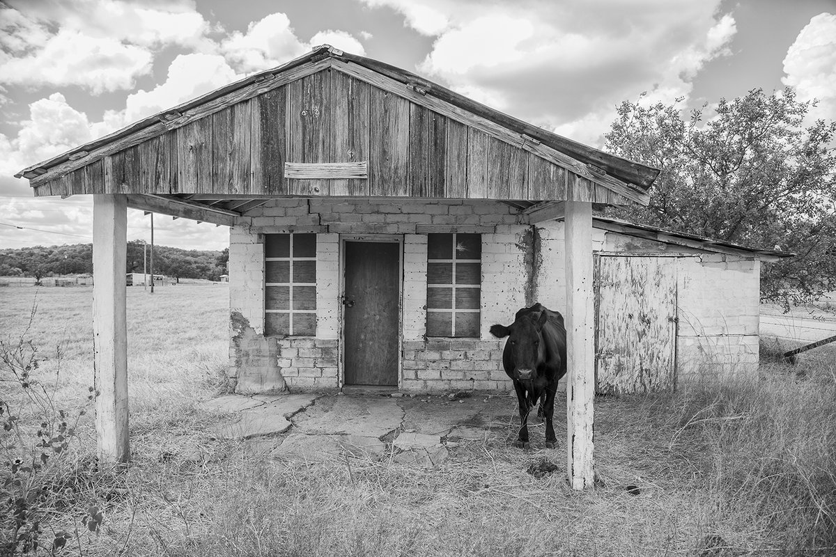 Traces of Texas tweet media