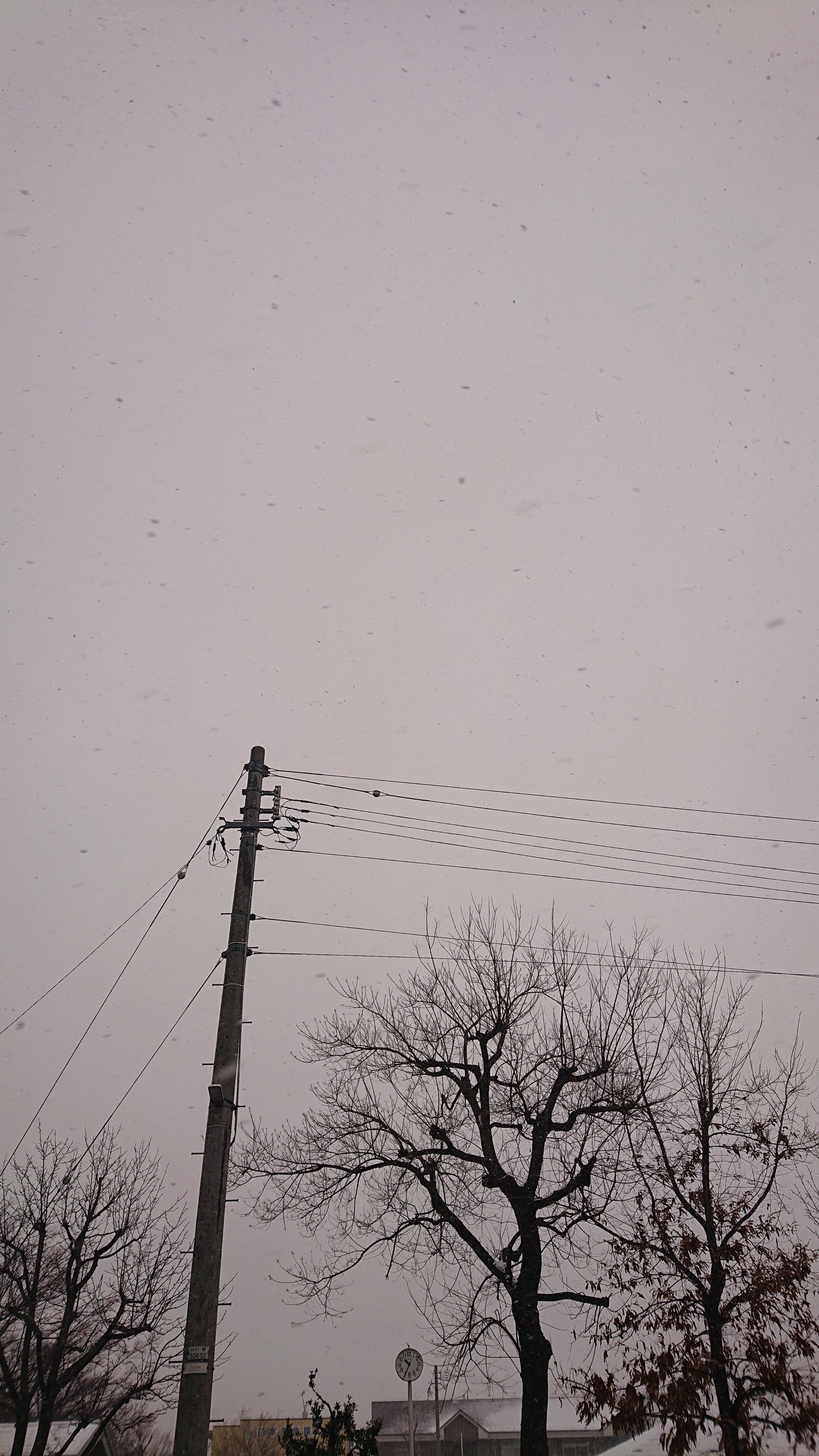 ミカド電設 採用情報 おはようございます 1月18日 火 石川県野々市市の天気は雪です 今日も一日頑張りましょう 企業公式が毎朝地元の天気を言いあう 企業公式冬のフォロー祭り 採用 北陸 電気工事士 営業 企業公式相互フォロー 石川県 金沢市