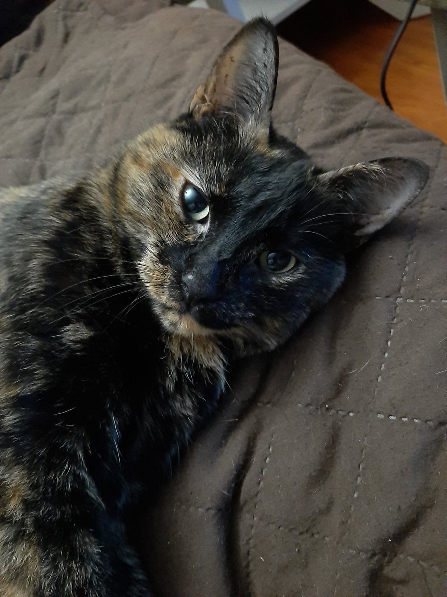 Karen M 💙🇺🇦💛🌻 tweet media