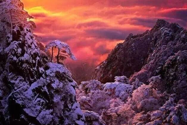 ViVi Tong tweet media