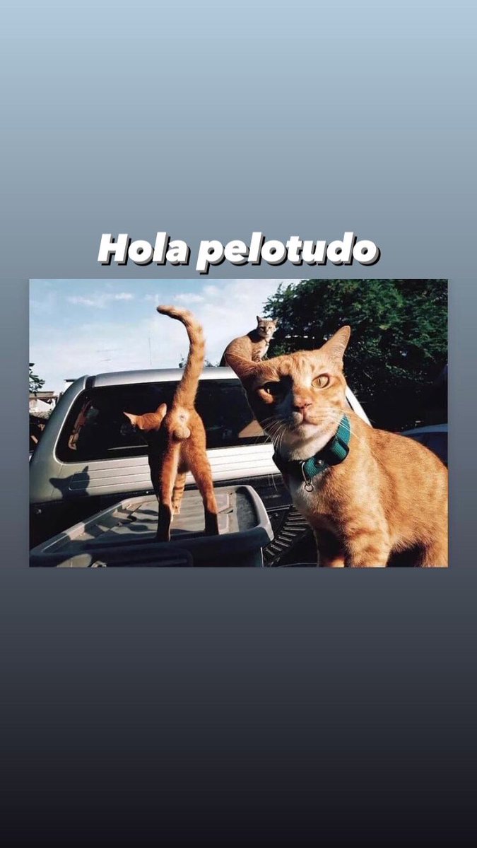 ElBelian's tweet photo. Fino el nene https://t.co/9BhCcQ121o