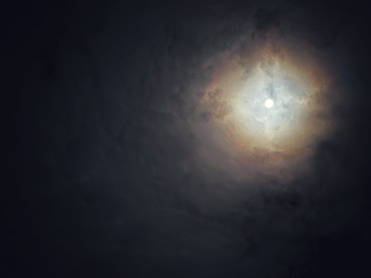 O_ziro_2_12_24's tweet photo. 今日月綺麗やった🌝

#月 #今宵の月 #moon #tonightsky https://t.co/FatkgfvUp7