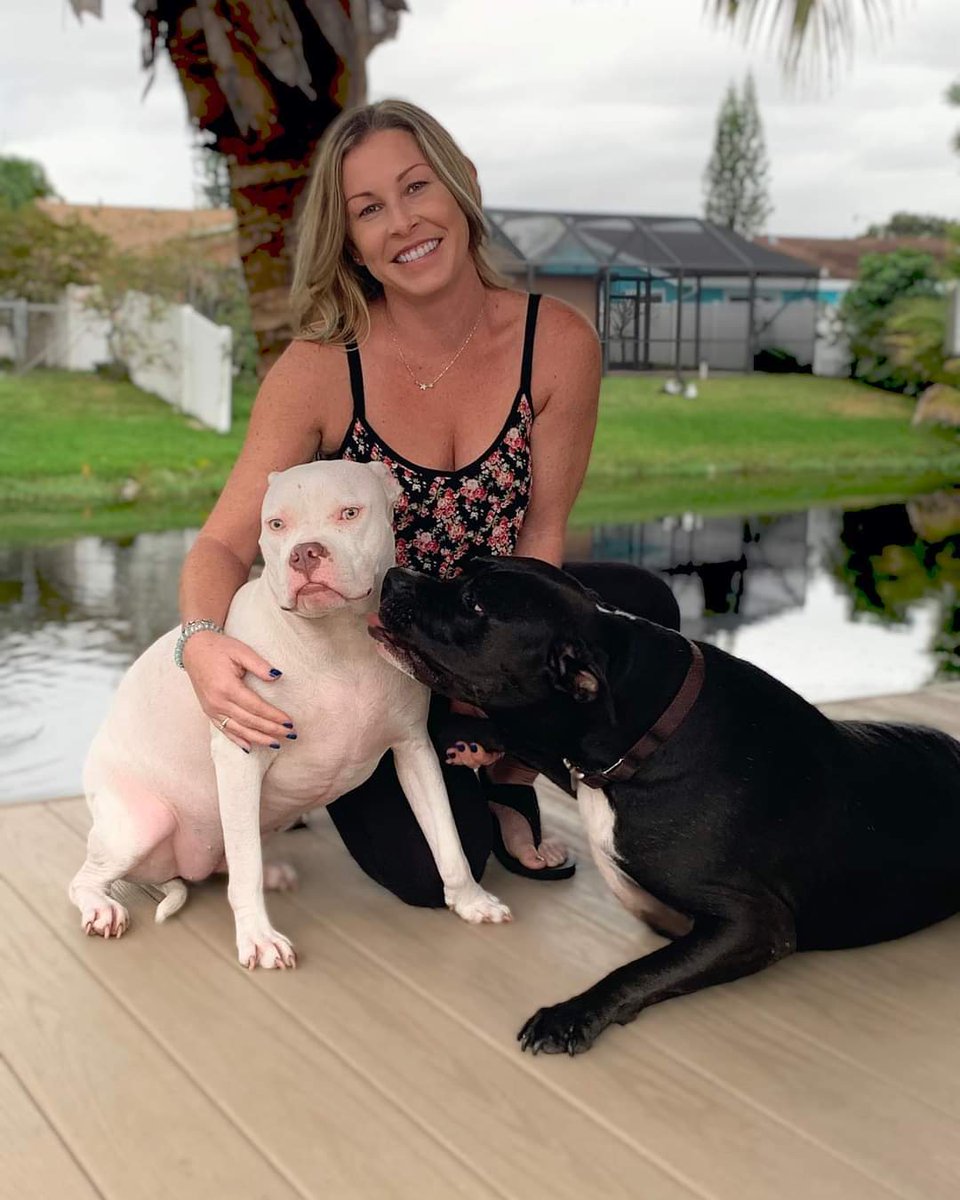 jointhebarkside's tweet photo. TFTBS Alumni Fiona and Bunchie (formerly Mando), with their beautiful foster/adopter/sister Kelly! ❤️
I can't get enough of these two, and they can't get enough of each other!
#tailsfromthebarkside #jointhebarkside #fiona #bunchie #mando https://t.co/cQ6b6zUzYP