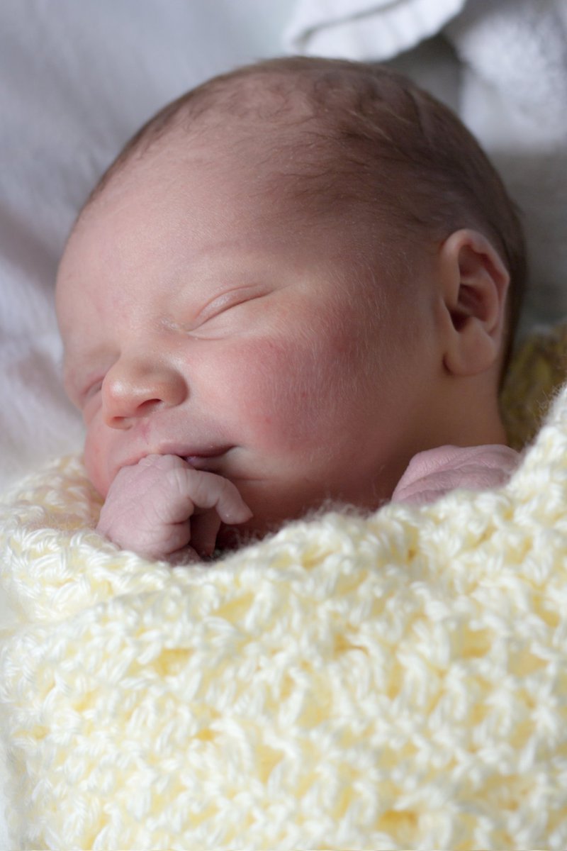 Re_shell11's tweet image. 🥺🥺 I already miss him being this little