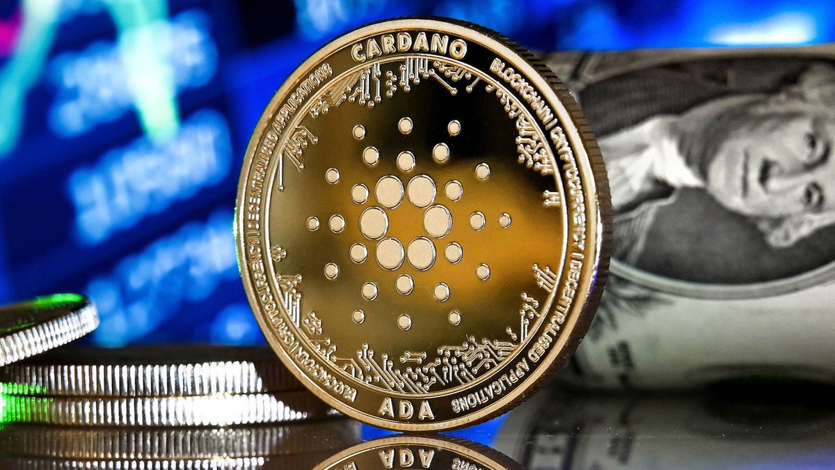 I’m  giving away 100 $ADA to 1 random person who 👇

❇️Follow Me!
♻️Retweet and Like.
✅Tag for 3 people. 

Giveaway ends in 48 hours. Will show proof of paying winner ❤️. Good-luck.  

#CardanoADA #CardanoCommunity #CardanoNFT #ADA #caradano #Giveaway #NFTGiveaway #Airdrop