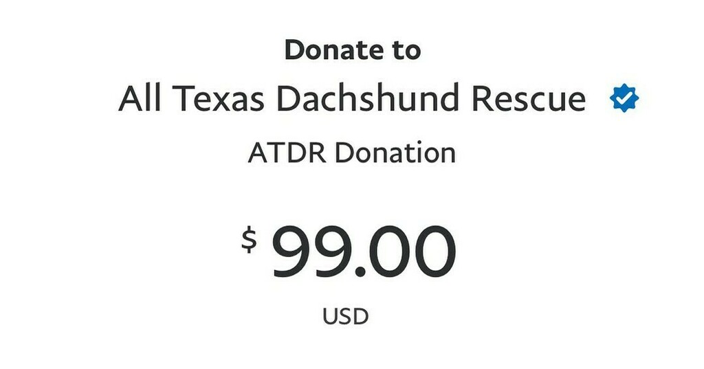 rhuntington3's tweet photo. #BettyWhiteChallenge #AllTexasDachshundRescue #ATDR https://t.co/VJLwnKFsqK https://t.co/kRB6gCcfWw