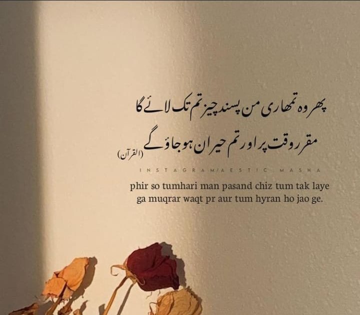 zuni_aizal's tweet photo. #byshk Allah hr cheez py qadir h 🥀🥀 https://t.co/ECZ5yLMo6O