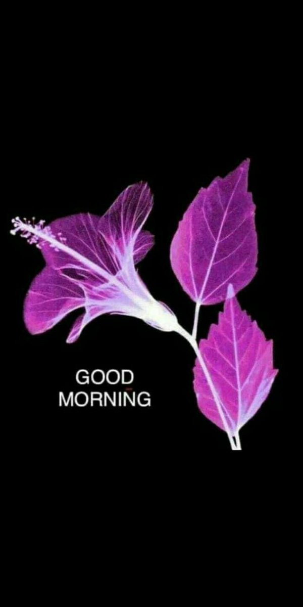 JordanG3333 tweet picture