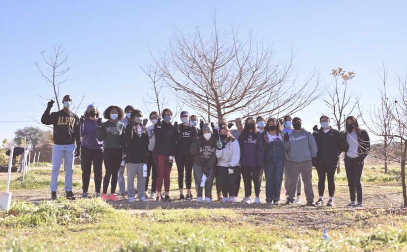 The HΨPE Chapter tweet media