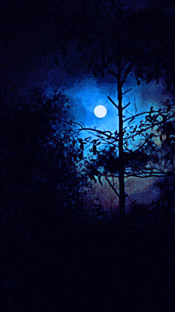 SummerAlHajrii's tweet photo. Wolf Moon 🐺 🌑 Ya Amar 💙🥰
Peep the last pic the moon reflection above the tree (my fave) that photo reminds me of Vincent van Gogh’s Starry Night 🌌💜 first full moon of 2022!
——————
#WolfMoon #FullMoon #JanuaryMoon #BlueMoon #Moon #YaAmar #Amar #Qamar #MoonPhase https://t.co/txpquOLlSg