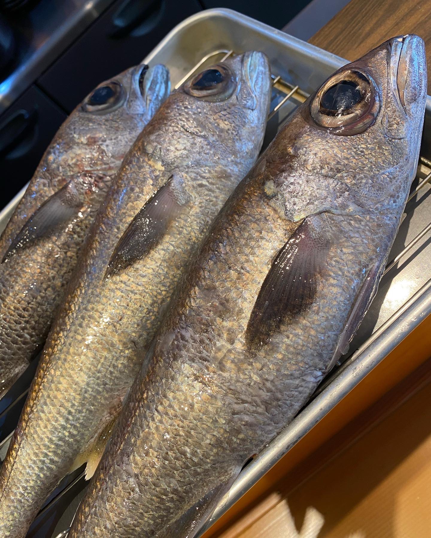 旬菜旬肴 和のか 帆立 ホッキ貝 ツブ 黒ムツ ジャンボ太刀魚 今週もよろしくお願い致します 和のか 旬菜旬肴和のか 千葉駅和食 千葉中央駅和食 裏千葉 海鮮 鮮魚 日本料理店 T Co 8xmvj8xmi3 Twitter