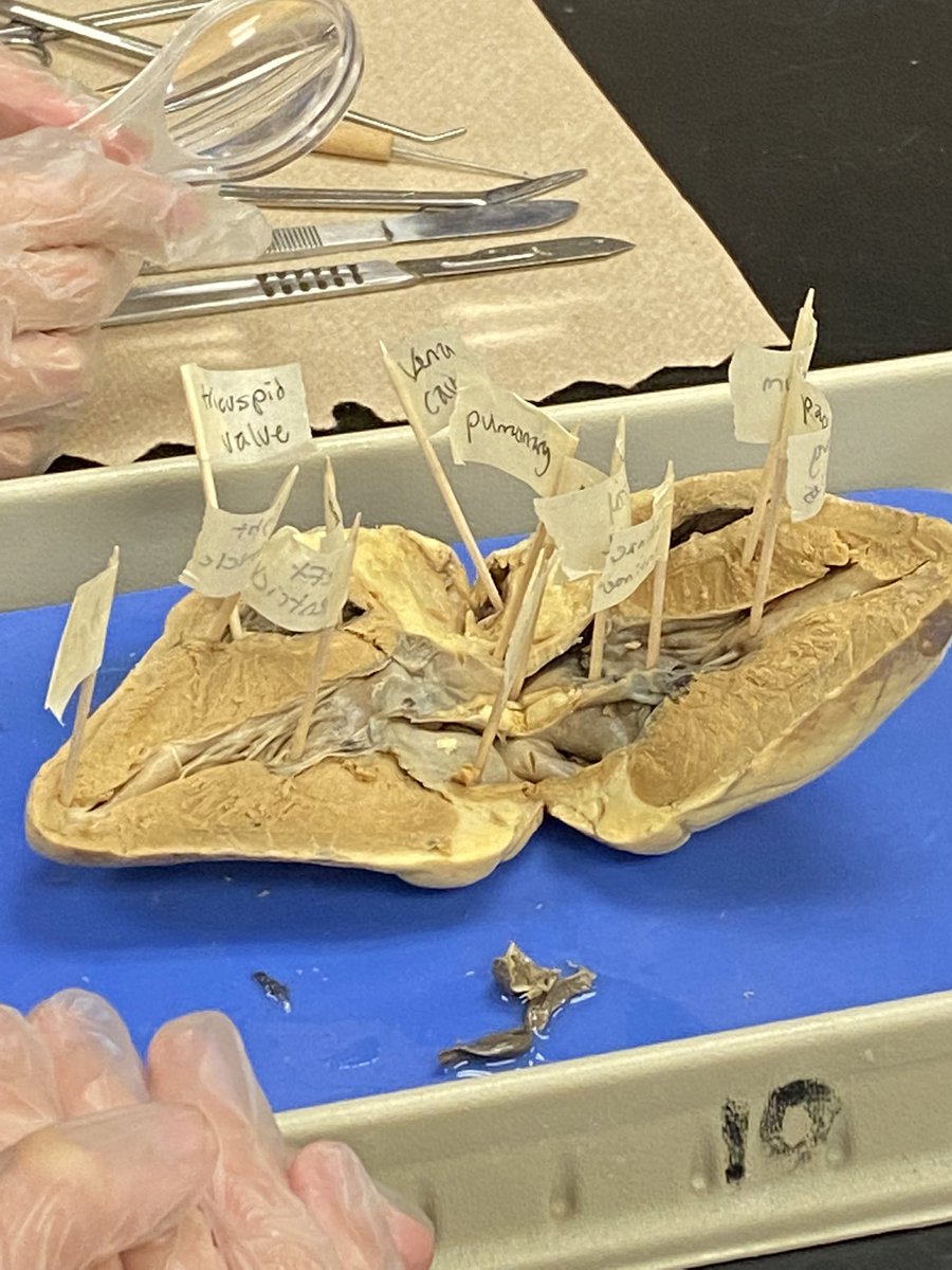 Billy Renfroe tweet media