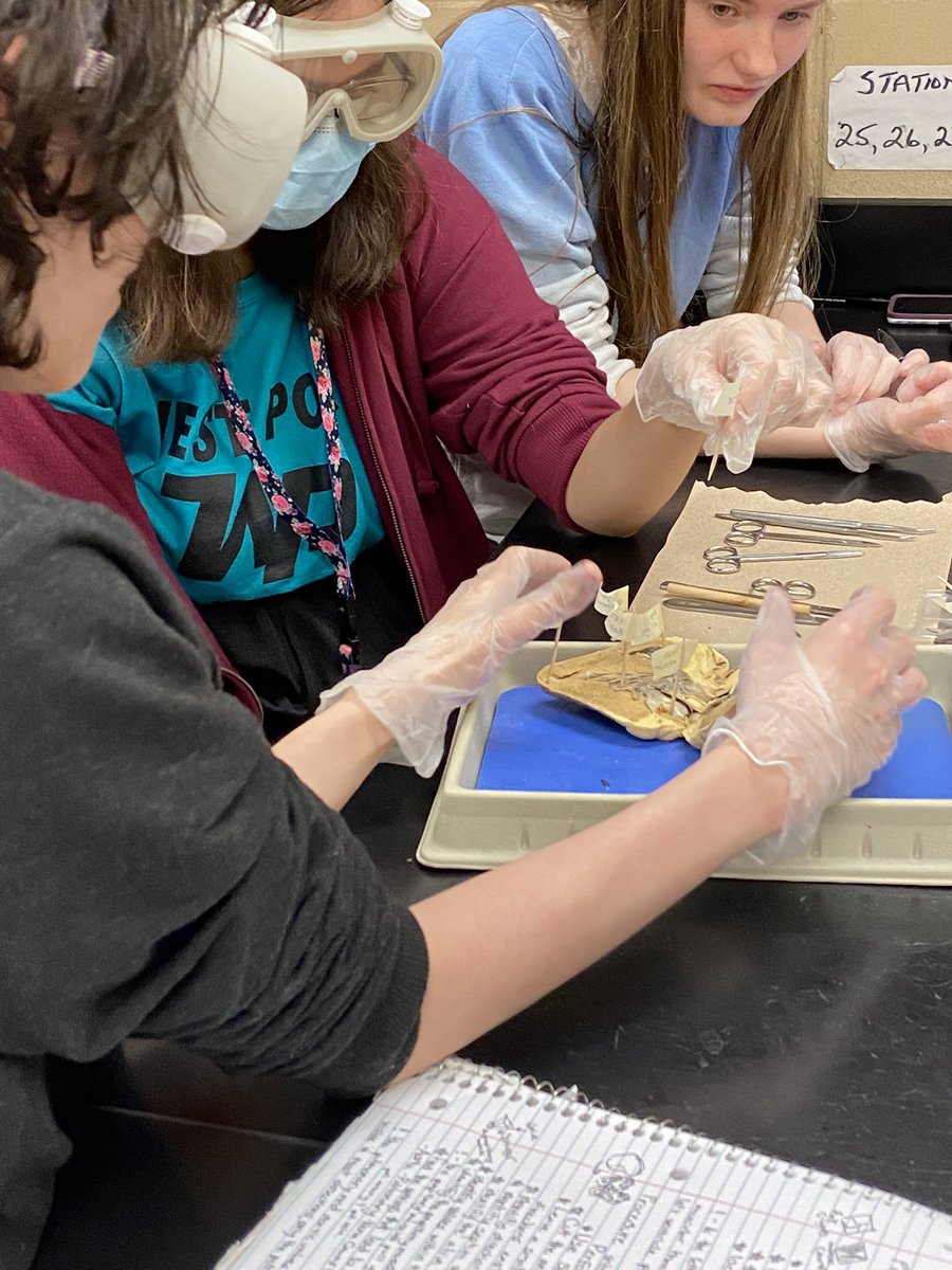 Billy Renfroe tweet media